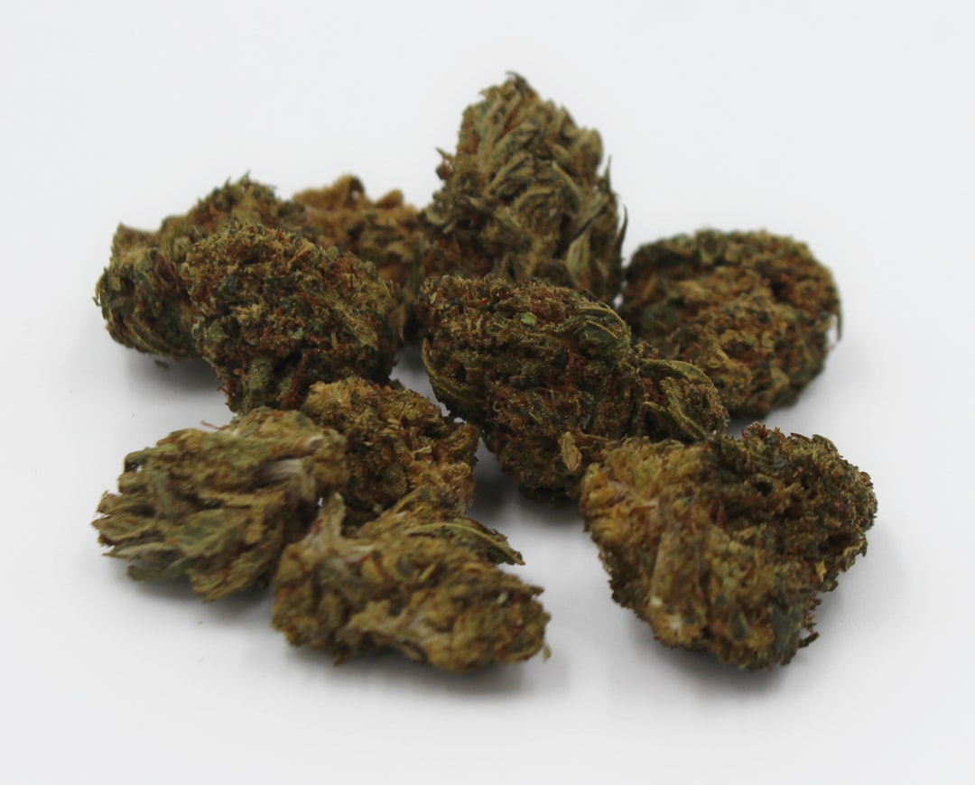 Cannabis Shop Vilnius Your Ultimate Guide to Buying Cannabis Online