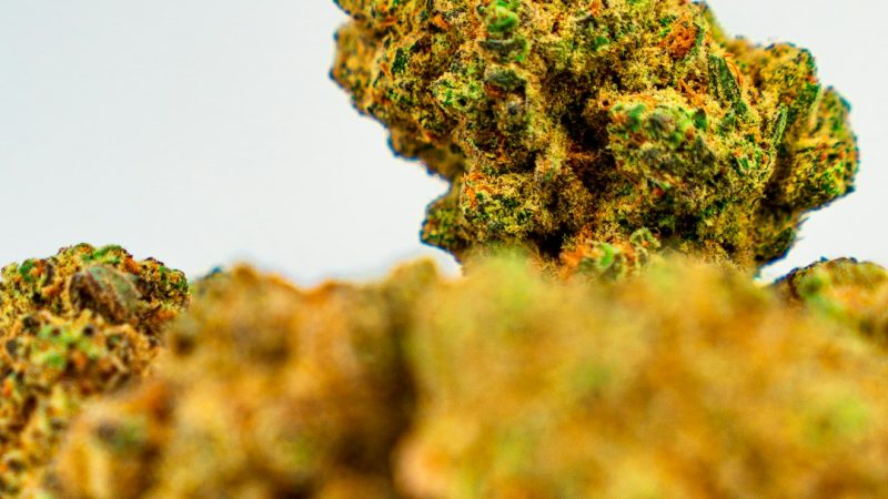 Looking to buy weed online in Vilnius or find a trusted weed shop Vilnius?