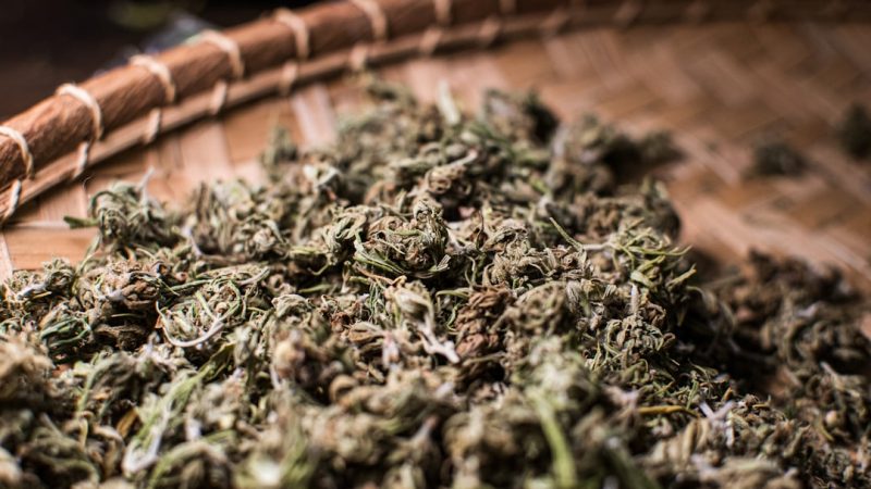 Luxembourg Has Emerged as a Vibrant Hub for Cannabis Enthusiasts Across Europe