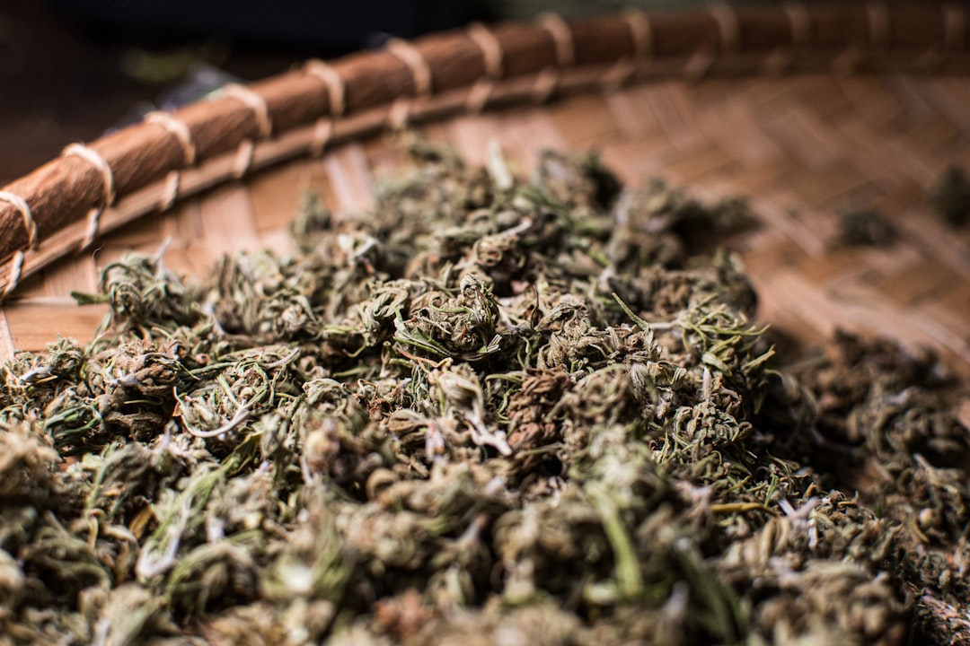 Luxembourg Has Emerged as a Vibrant Hub for Cannabis Enthusiasts Across Europe