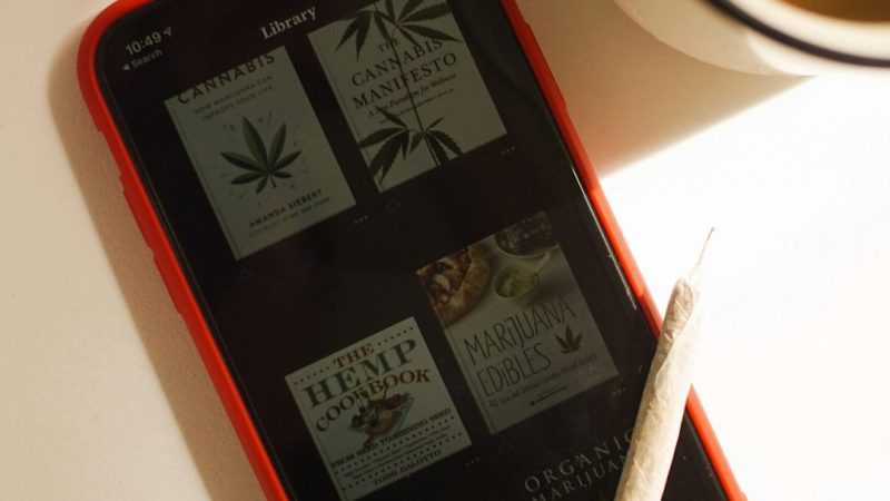 Future Outlook Cannabis Delivery Belgium 2024‑2030