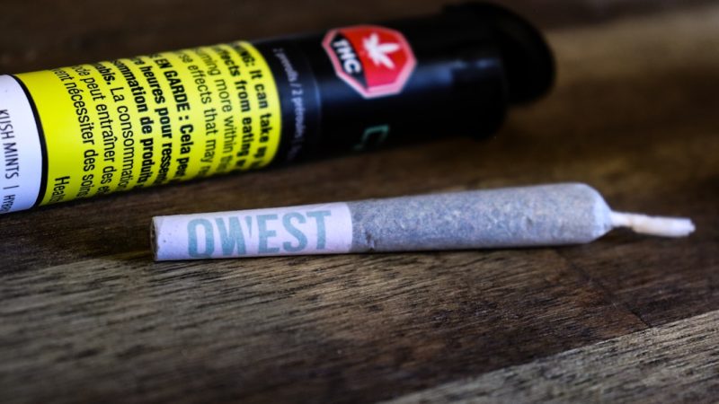 Malaga Boutique Dispensary Premium Cannabis Marijuana and Weed