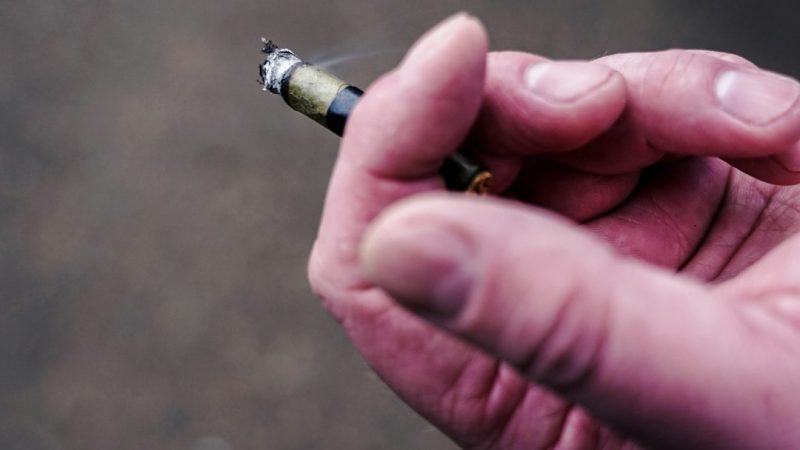 Antwerp, a bustling port city in the heart of Belgium, has become a hub for cannabis enthusiasts looking for quality, variety, and convenience.