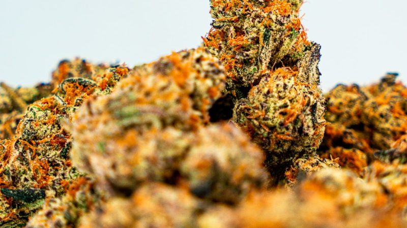 Premier 420 Shop Crete