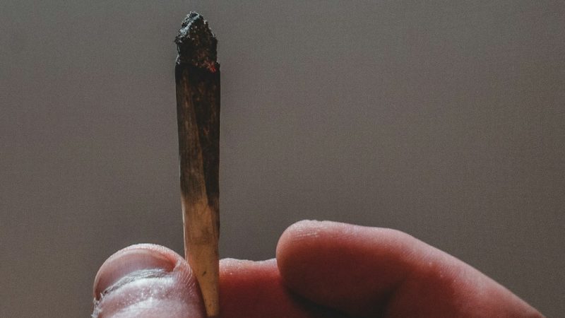 Palermo Cannabis: Buy Cannabis, Marijuana, and Hemp Online