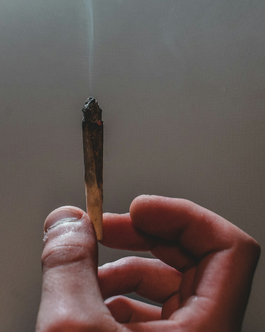Palermo Cannabis: Buy Cannabis, Marijuana, and Hemp Online