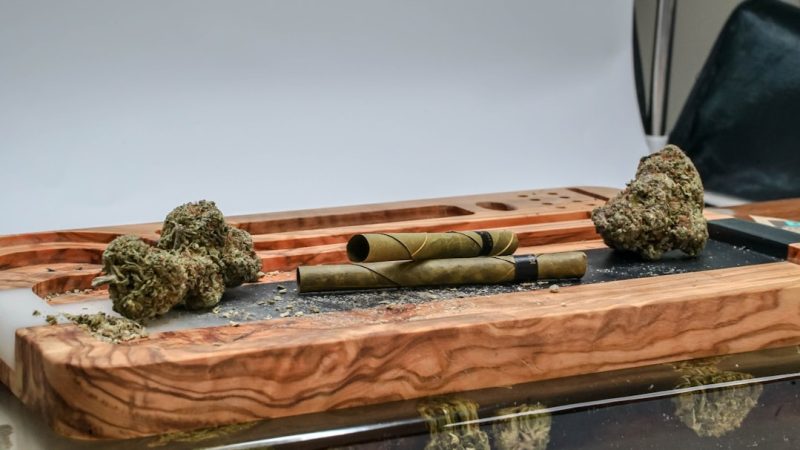 Rotterdam Weed Shop: Your Ultimate Guide to Cannabis, Prices, and Delivery