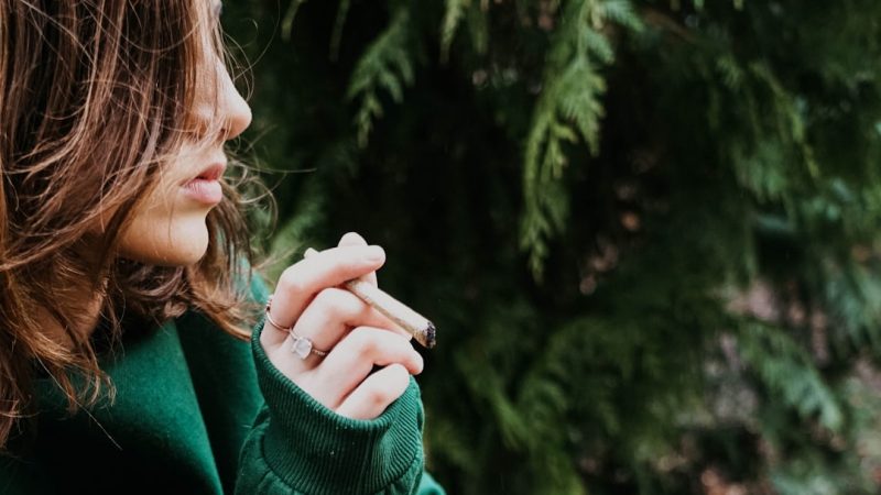Welcome to the heart of Ljubljana’s thriving 420 culture