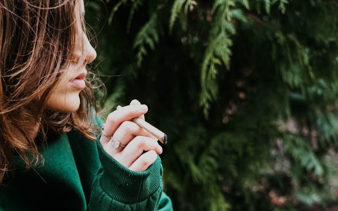 Welcome to the heart of Ljubljana’s thriving 420 culture