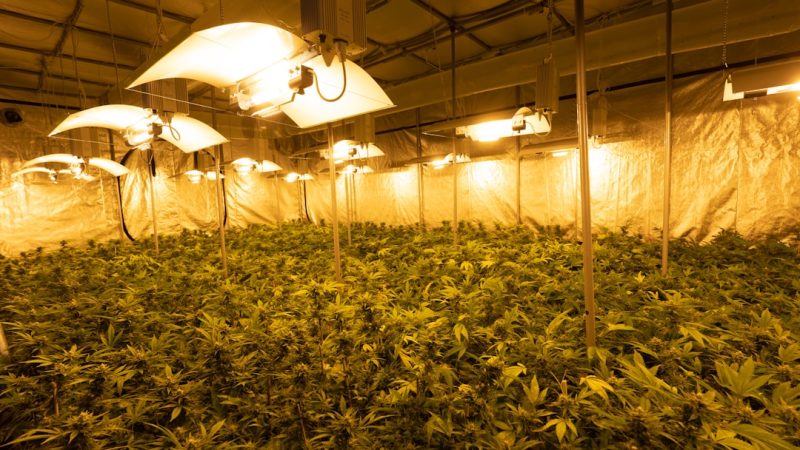 Welcome to Bremen’s premier 420 shop