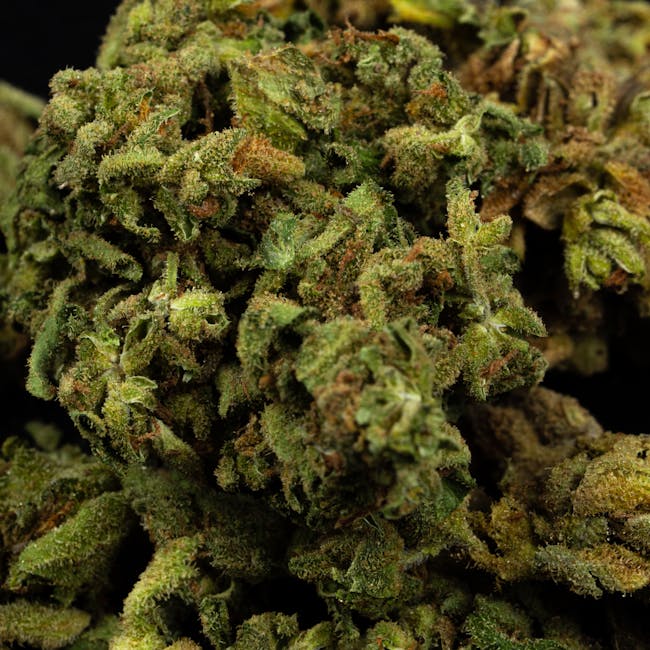 Looking for a reliable way to purchase THC vape products in Košice?