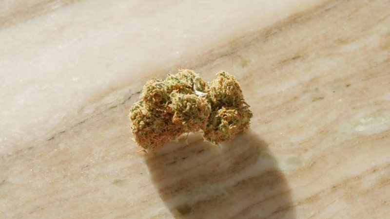 Marseille Cannabis Guide: Legal Status, Buying THC Weed, and Local Culture