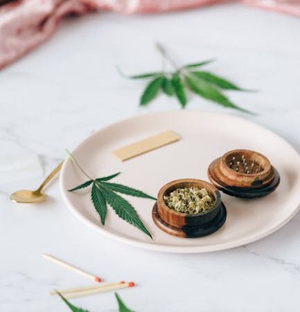 Marseille Cannabis Store: Quality, Compliance, and Community