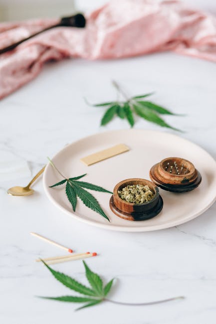 Marseille Cannabis Store: Quality, Compliance, and Community