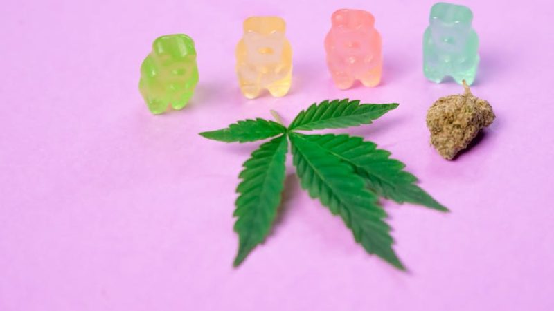 Looking to purchase high‑quality THC cannabis in Leuven?