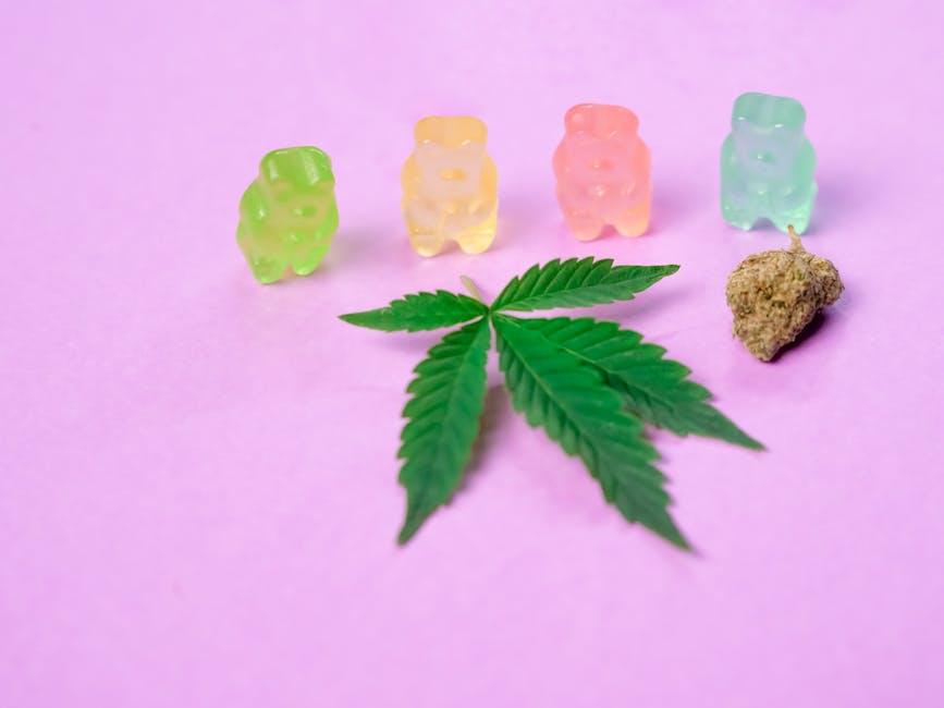 Looking to purchase high‑quality THC cannabis in Leuven?