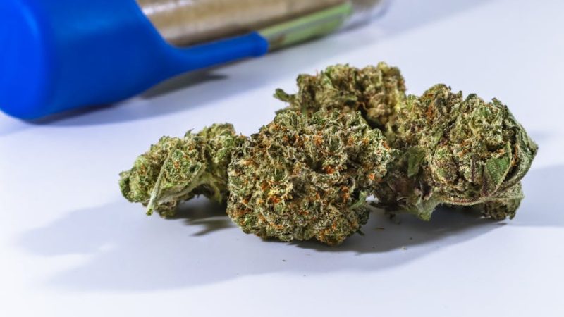 Welcome to the ultimate guide for anyone looking to explore cannabis products in the picturesque spa town of Karlovy Vary, Czech Republic
