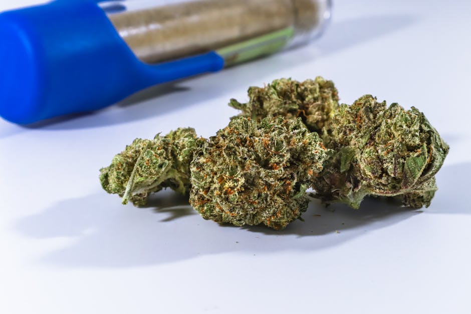 Welcome to the ultimate guide for anyone looking to explore cannabis products in the picturesque spa town of Karlovy Vary, Czech Republic