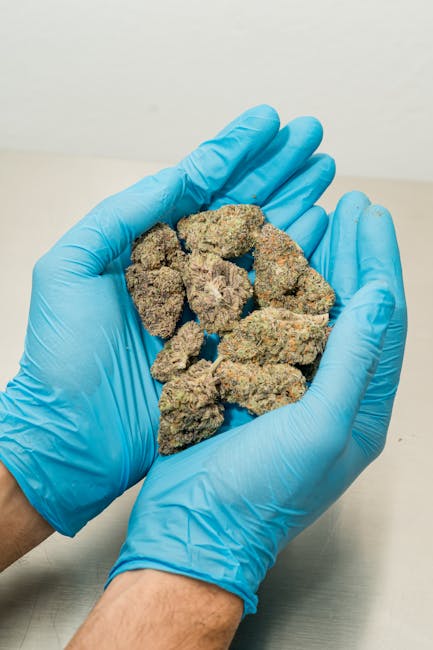 Graz: The Ideal Destination for THC Cannabis Enthusiasts