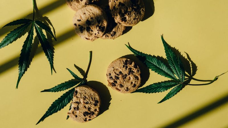 Looking to purchase high‑quality cannabis in Brno, Czech Republic?