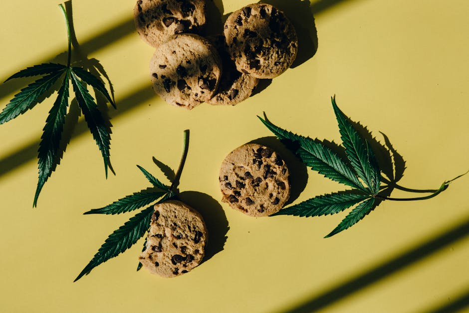 Looking to purchase high‑quality cannabis in Brno, Czech Republic?