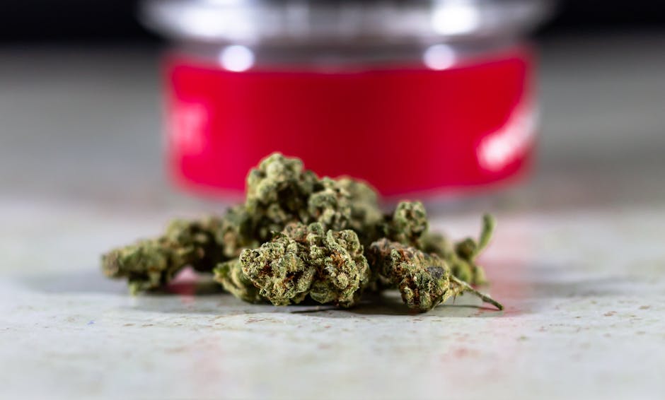 Saint‑Tropez Cannabis Shop
