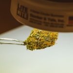 Buying Weed in Slovakia: The Ultimate Guide img-572.jpg