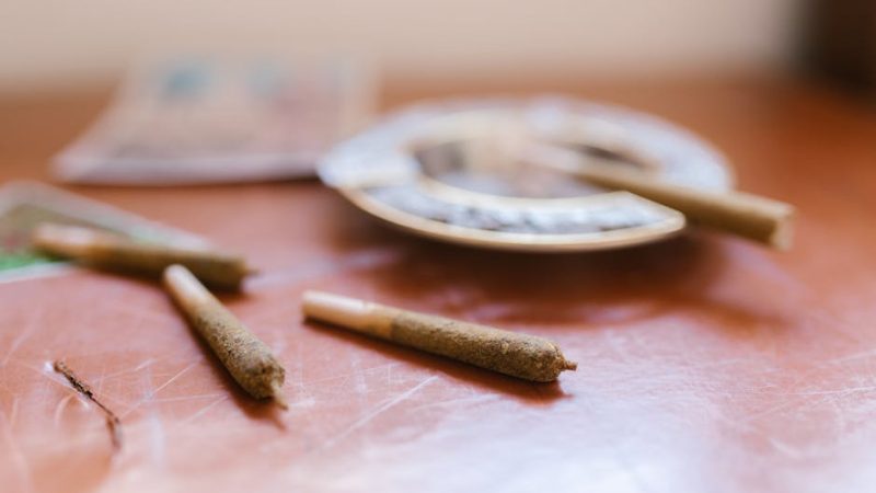 Barcelona is quickly becoming one of Europe’s most vibrant cannabis destinations
