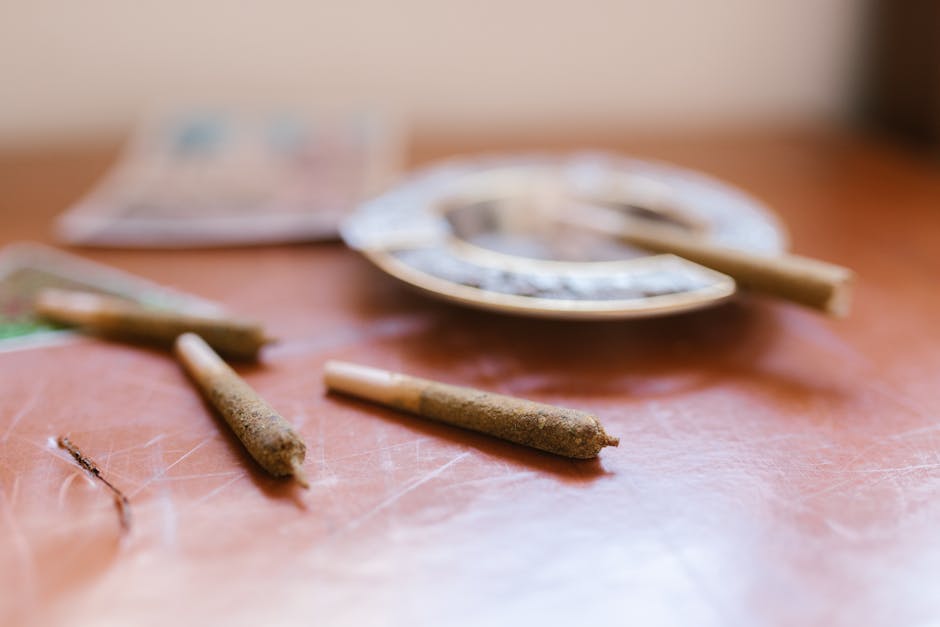 Barcelona is quickly becoming one of Europe’s most vibrant cannabis destinations