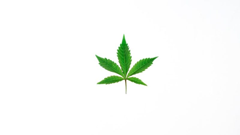 Venezia, the romantic heart of Italy, is not only famous for its canals and art but also for its growing vape culture