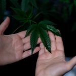 img-632.jpg