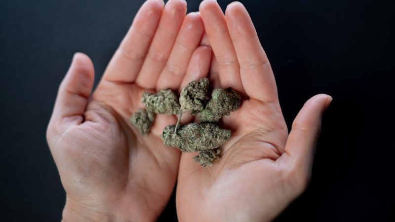 How to Buy Weed in Seville