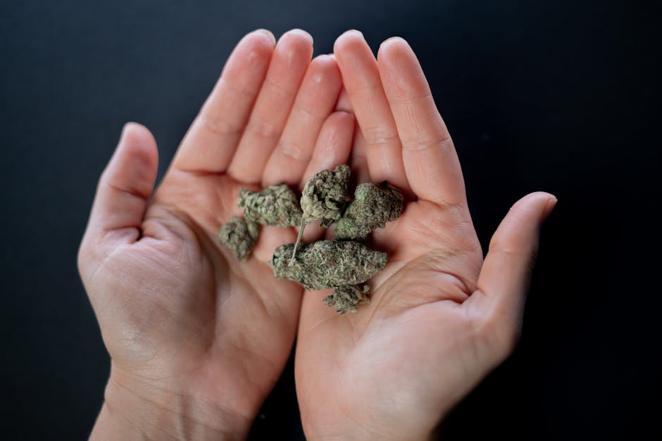 How to Buy Weed in Seville