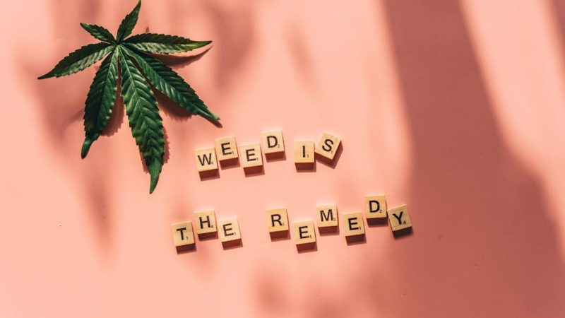 Bern Cannabis Delivery: Fast, Secure, and Legal