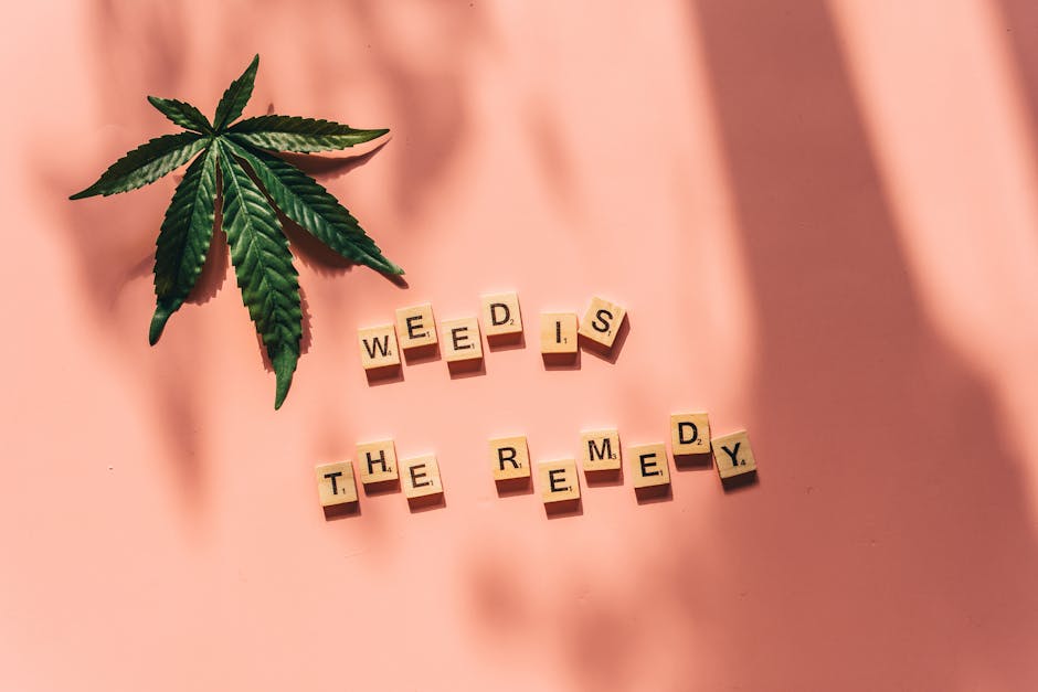 Bern Cannabis Delivery: Fast, Secure, and Legal
