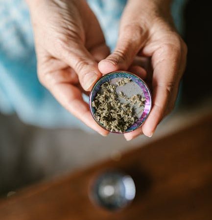 THC Weed in Stuttgart: Legal Status, Culture, and Consumption Guide