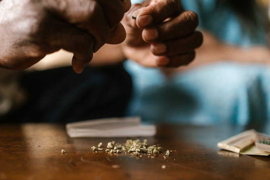 Looking for a reliable cannabis shop Gent