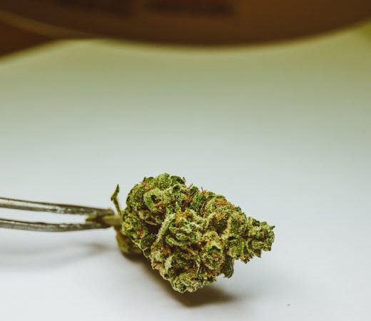 Looking for a reliable vape shop Leuven that offers high‑quality THC vape products?