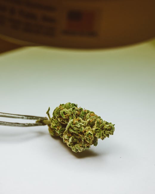 Looking for a reliable vape shop Leuven that offers high‑quality THC vape products?