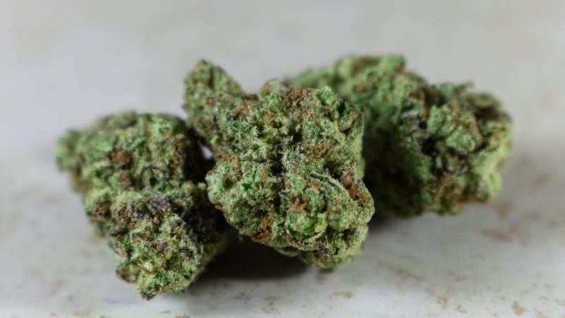 Cannabis Dispensaries and Marijuana Stores in Croatia