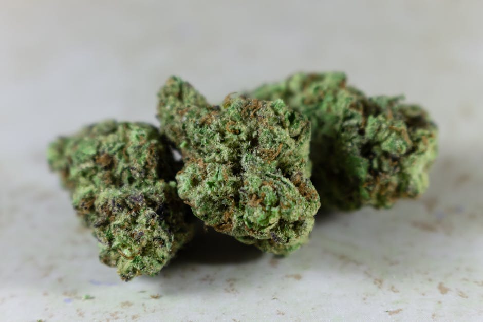Cannabis Dispensaries and Marijuana Stores in Croatia
